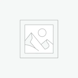 Elegant Moroccan Handbag